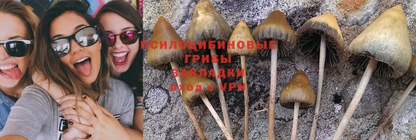 гашиш Зеленодольск