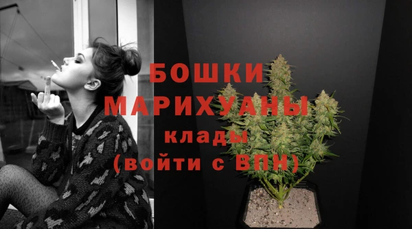 стафф Зерноград