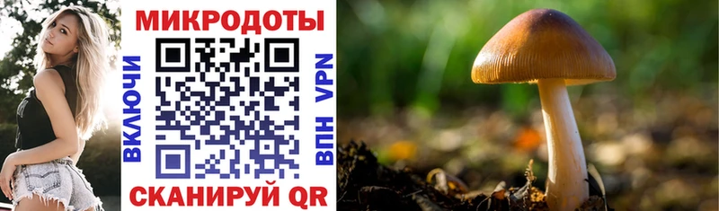 где продают   Чадан  Галлюциногенные грибы мухоморы 